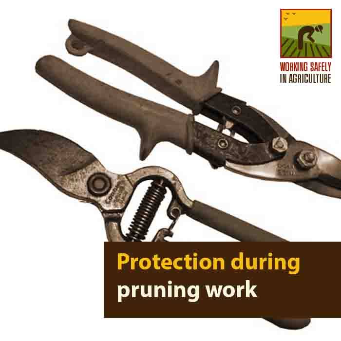 Protection during pruning work