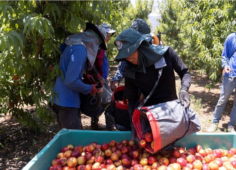 A long and unbearable year for disadvantaged workers in Israel