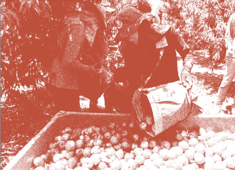 Spare Parts /  Orit Ronen and Aelad Cahana
