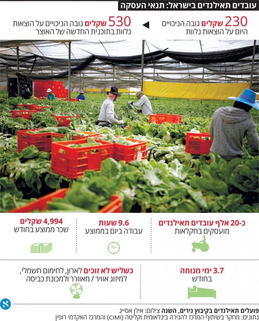 כתבת הארץ על הגדלת הניכויים לעובדי חקלאות 5.11.2015 - תמונת רקע